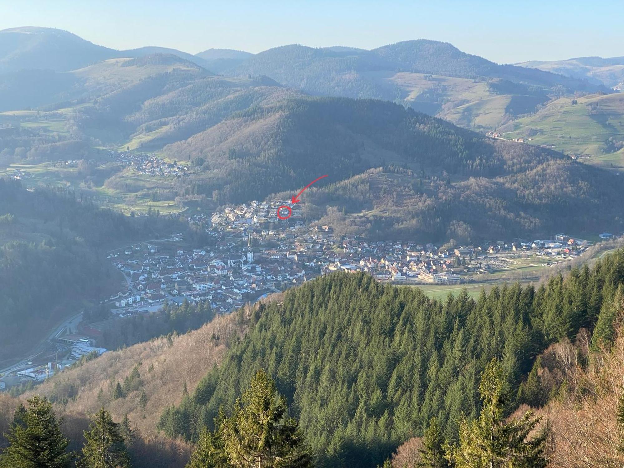 Ferienwohnung Traumblick Schönau im Schwarzwald Kültér fotó